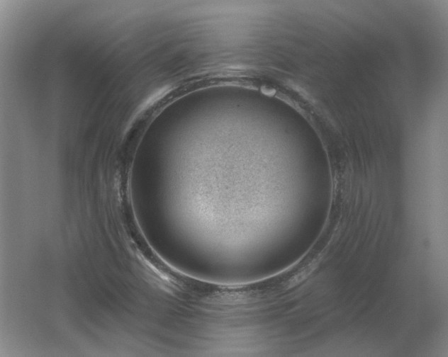 X0000062611402200512230907