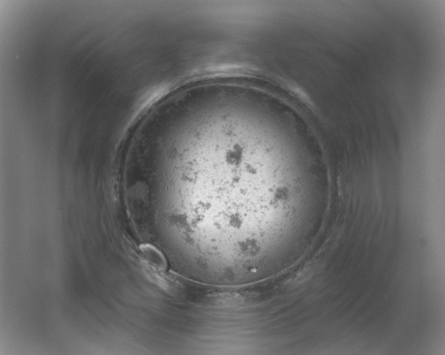 X0000062611405200512230907