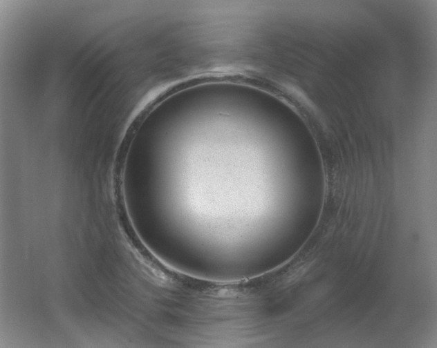 X0000062611412200512230907