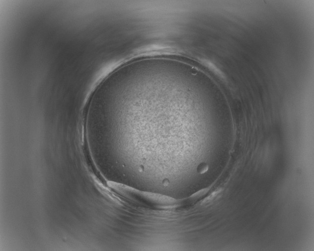 X0000062611413200512230907