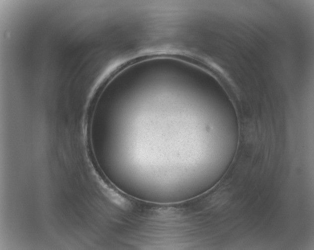 X0000062611416200512230907