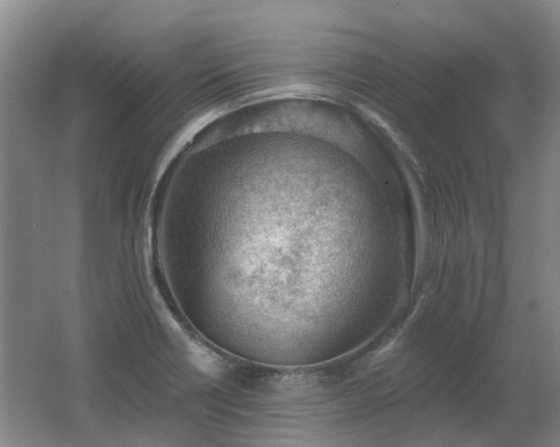 X0000062611418200512230907