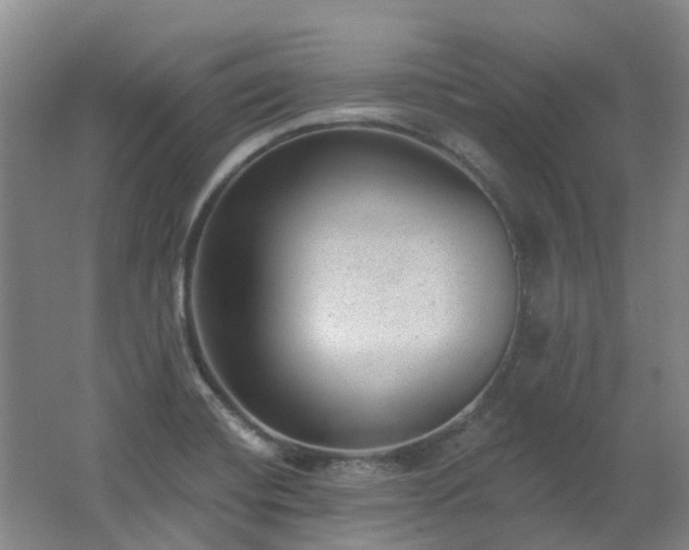 X0000062611420200512230907