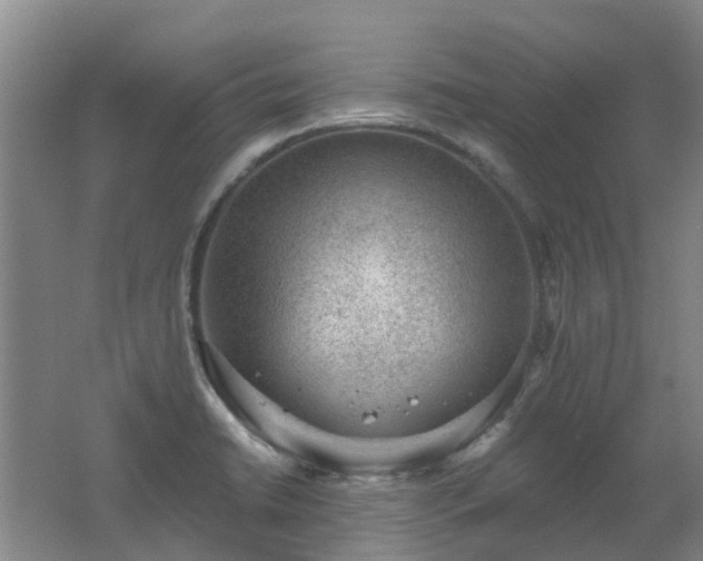 X0000062611422200512230907