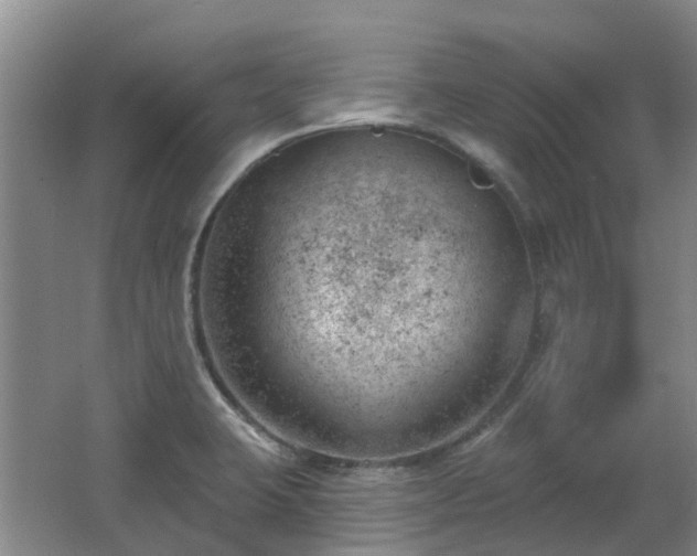 X0000062611423200512230907