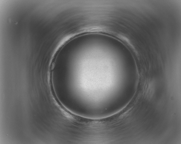 X0000062611424200512230907