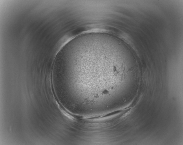 X0000062611425200512230907