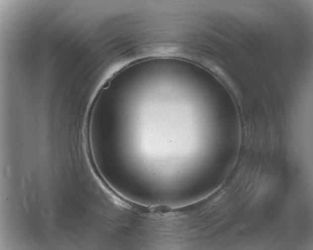 X0000062611432200512230907