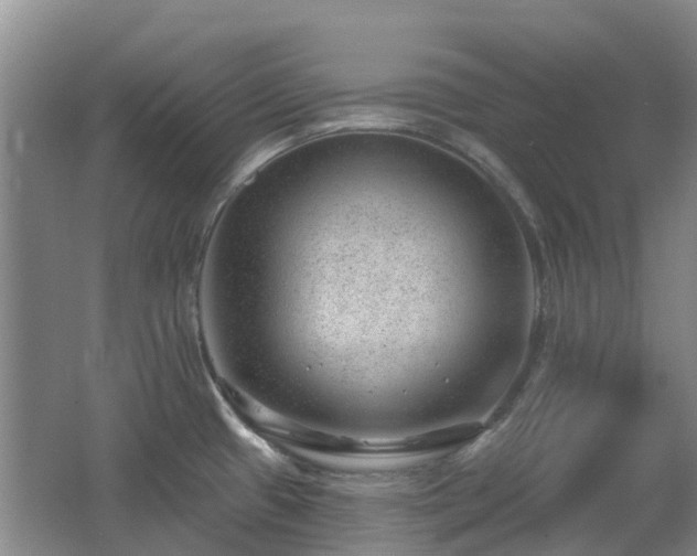 X0000062611433200512230907