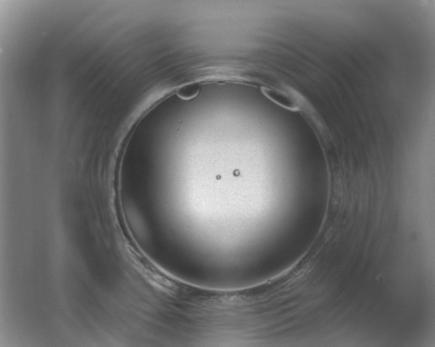 X0000062611435200512230907