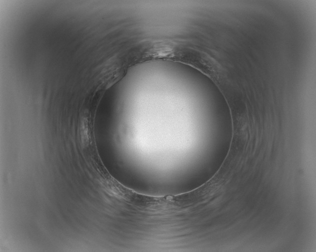 X0000062611442200512230906