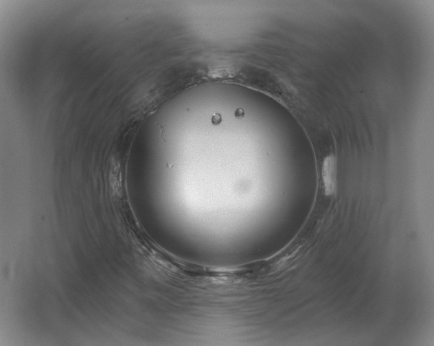 X0000062611443200512230906