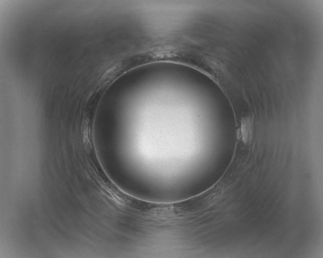 X0000062611444200512230906