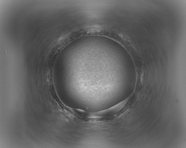 X0000062611445200512230906