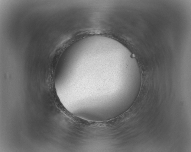 X0000062611446200512230906