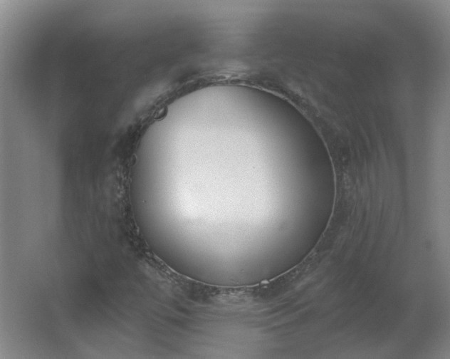 X0000062611447200512230906