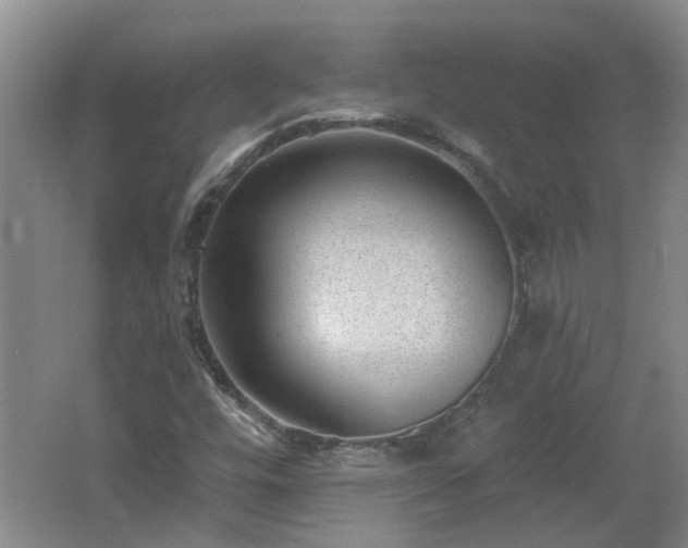 X0000062611448200512230906