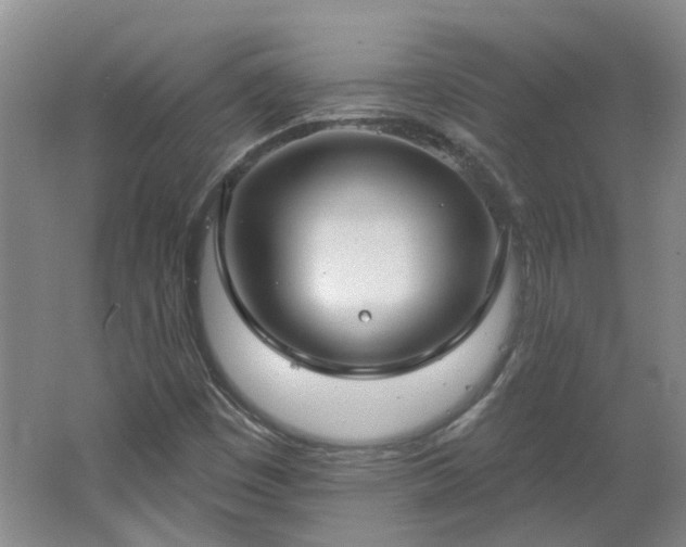 X0000062611449200512230906