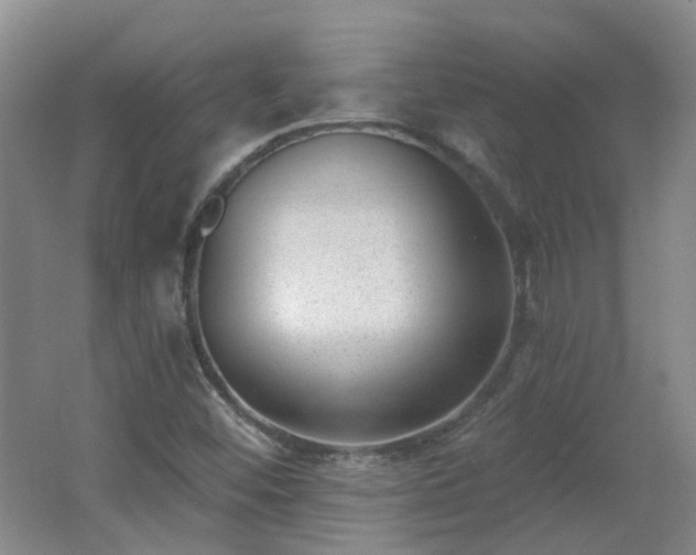 X0000062611452200512230906