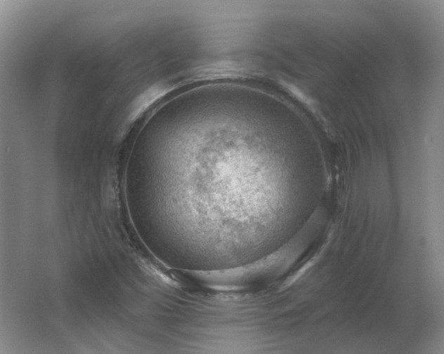 X0000062611453200512230906