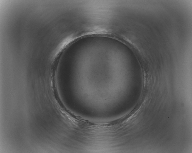 X0000062611455200512230906