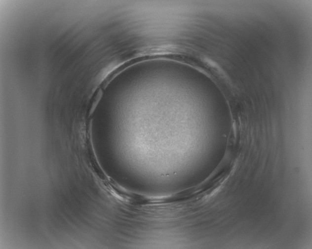 X0000062611457200512230906