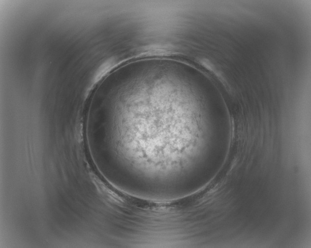 X0000062611459200512230906