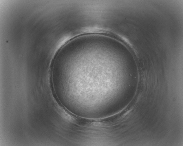 X0000062611463200512230906