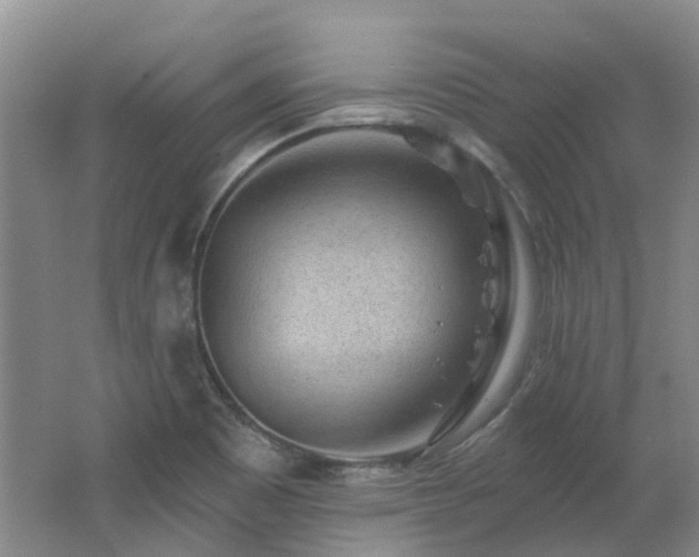 X0000062611465200512230906