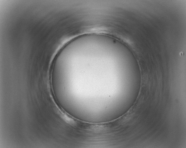 X0000062611470200512230906