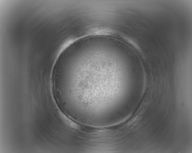 X0000062611471200512230906