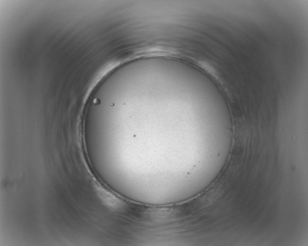 X0000062611474200512230906