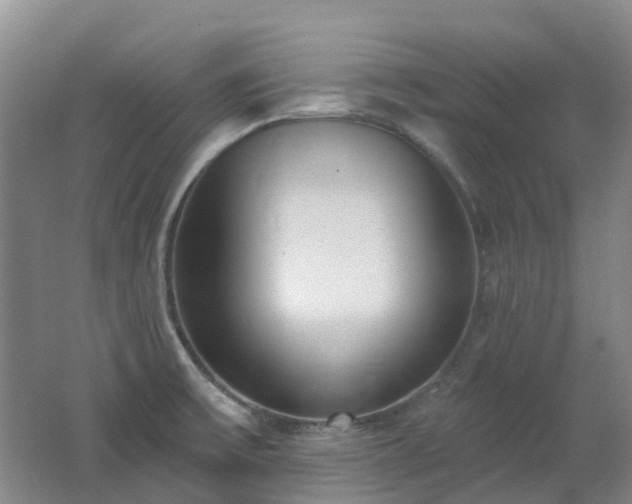 X0000062611475200512230906