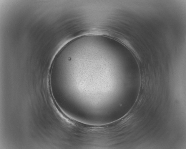 X0000062611484200512230906