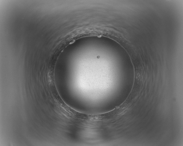 X0000062611490200512230905