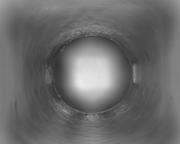 X0000062611491200512230905