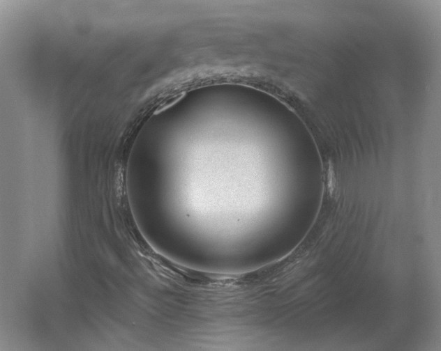 X0000062611492200512230905