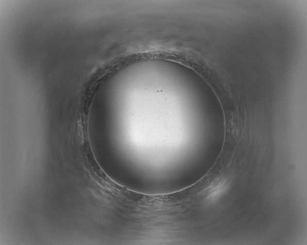 X0000062611493200512230905