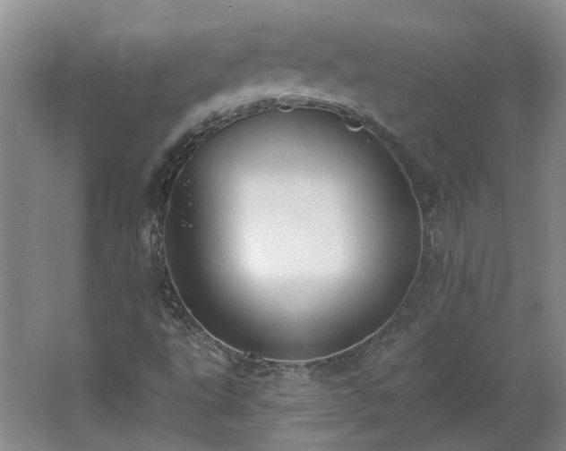 X0000062611495200512230905