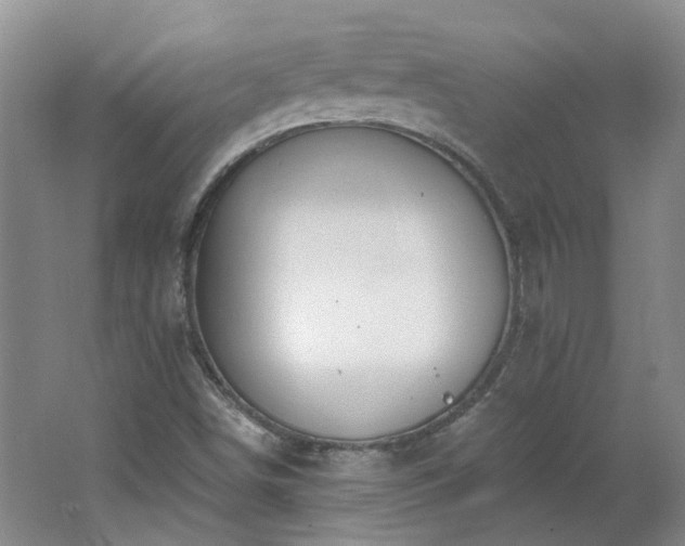 X0000062611498200512230905