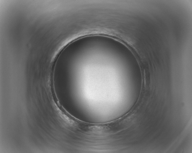 X0000062611500200512230905