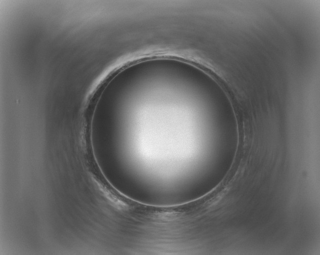 X0000062611502200512230905