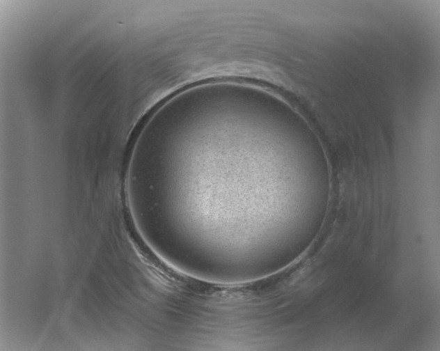 X0000062611505200512230905