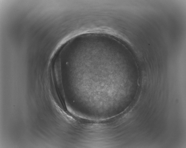 X0000062611506200512230905