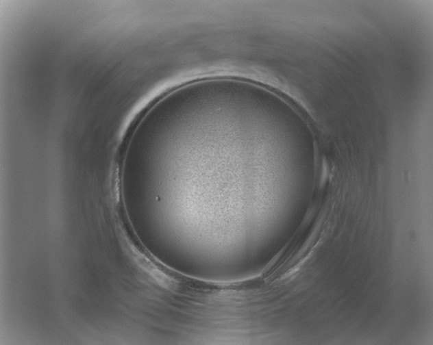 X0000062611510200512230905