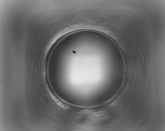 X0000062611511200512230905