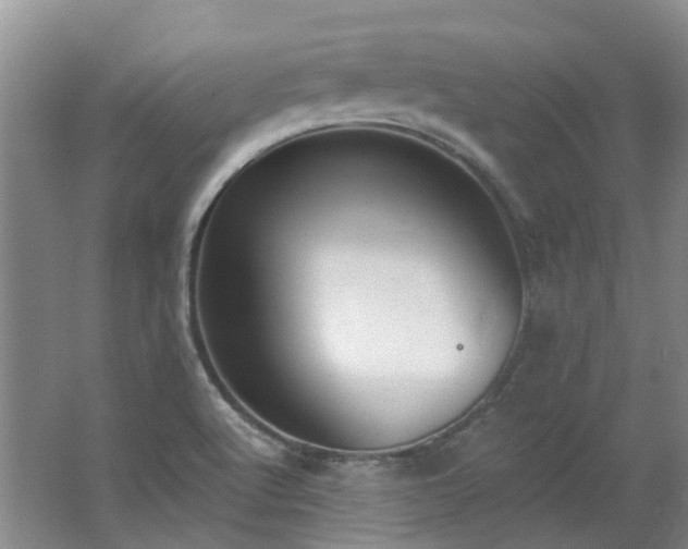 X0000062611512200512230905