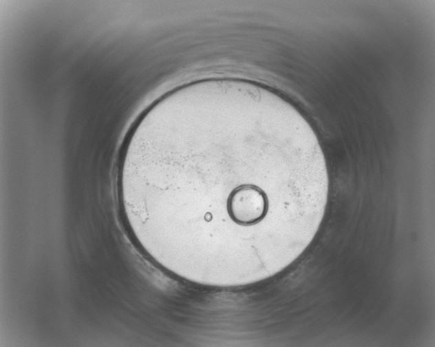 X0000062611514200512230905