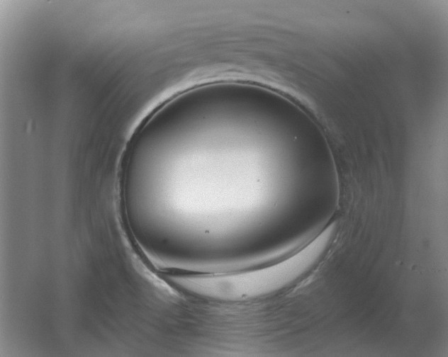 X0000062611518200512230905