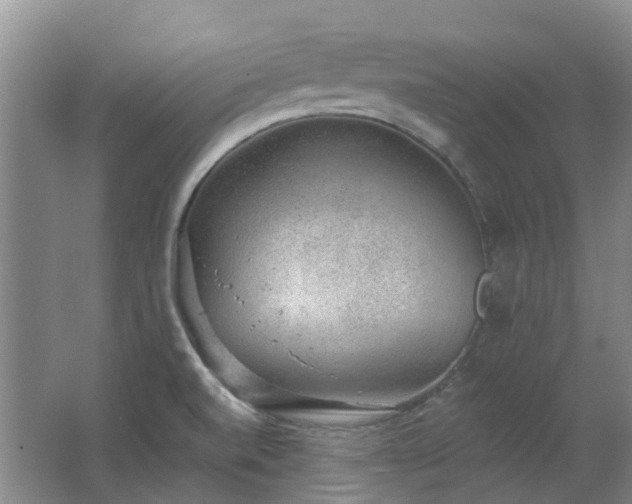 X0000062611520200512230905